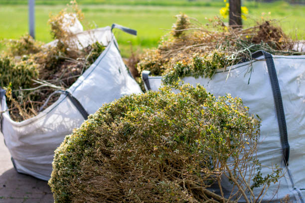 Best Furniture Removal Near Me  in Osage, IA